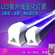 led紫外線固化燈uv滴膠固化燈管T8一體化燈無影膠燈藍紫光固化燈