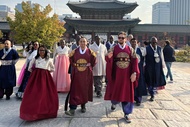 Seoul & Bukchon Hanok Village Half-day Cultural Tour