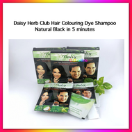 Daisy Herb Club Hair Colouring Dye Shampoo (3 Boxes for $12)