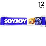 [ 12入組] SOYJOY 藍莓 30g