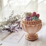 獨家設計 多肉植物盆栽 擴香石 仙人掌 療癒小物 儀式感生活 禮