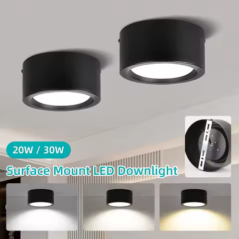 20W 30W Spotlights Metal Downlight 3 Colors Lamp Ceiling Light Fixture Indoor for Corridor Living Ro