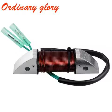 3B2-06123 Alternator For Tohatsu Outboard Motor 2 Stroke 3B2-06123 8HP 9.8HP Parsun HDX 3B2-06123-1 