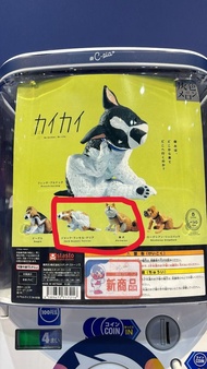 全新 狗仔扭蛋 傑克羅素㹴 柴犬