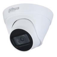 Entry IR Eyeball Network Camera