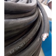 Cadisun 2-core copper cable, CXV 2x6mm2 hanging cable, sturdy 2-core electrical cable