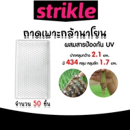 ถาดเพาะกล้านาโยน 434 หลุม (หนา) แพ็ค 50 ชิ้น ถาดนาโยน ถาดเพาะปลูก ถาดเพาะกล้า กล้านาโยน ถาดเพาะนาโยน