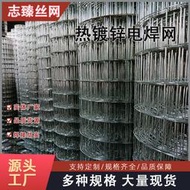 建築防裂網粉牆保溫鐵絲網 熱鍍鋅電焊網304不鏽鋼建築網鐵路圍欄