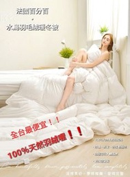 全台最偏宜❗【義大利】【La Belle】【法國天然水鳥羽毛絨暖冬被】免運【BIG-1399】【輕】【柔】【暖】【羽絨被】透氣又保暖【100％羽絨】