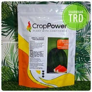 100G-200G WM 336 ULTIMATE Crop Power Biji Benih Tembikai Boci Madu Tanpa Biji F1 Hybrid Seedless Wat