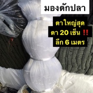 #มองปลาสวาย #ข่ายดักปลาใหญ่สุดตา 20 เซน  ลึก 6 เมตร ป้าย 180 เมตร