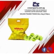 WILSON TRAINER TENNIS BALL Bag of 60 pcs