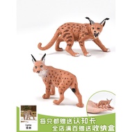 Solid Simulation Animal Model Bobcat Bobcat Bobcat Model Bobcat Toy Wild Animal Children Cognitive G