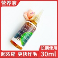 Marimo Seaweed Ball Nutrition Solution Green Chlorella Micro Landscape Ecological Bottle Hydroponic 