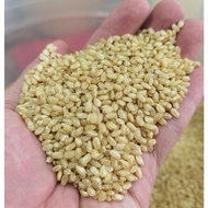 胚芽珍珠糙米/Pearl Brown Rice with Germ(Vacuum : 850g) pearl rice brown rice