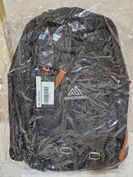 GREGORY Backpack 26L