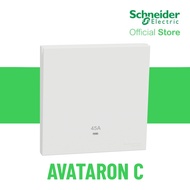 Schneider Electric AvatarOn C 45A 250V 1G DP w_ LED