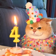 Cat Birthday Bib Decoration Cute Birthday Hat