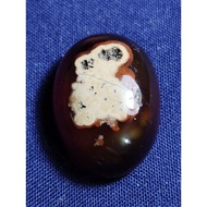 Loose Stone - Nunggal Stone Coralnatural, CAP JI SHIO SERIES, RAT Nunggal Coral Stone/, CAP JI SHIO 