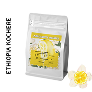 เมล็ดกาแฟคั่วอ่อน Ethiopia Kochere G1 Washed