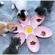 6 PLACES FOR DOGS AND CATS