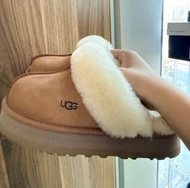 UGG Tasman Slippers 毛毛拖鞋