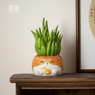 木鱼猫佛手柑托盘摆高颜值佛手瓜水培器皿创意佛手柑专用摆放盘Wooden fish cat bergamot tray with high color value chayote20250906