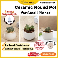 Round Ceramic Succulent Pots Ceramic Cute Pot Small Plant Succulent Pot Cactus Pot  陶瓷小花盆多肉花盆小盆栽  Seramik Pasu Bunga Kecil kaktus pot