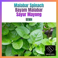 6g Benih Bayam Malabar Hijau Sayur Mayong Spinach