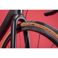 SCHWALBE PRO ONE TT TUBELESS READY 700X25C CLASSIC SKIN