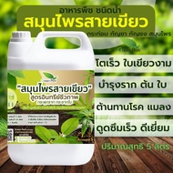 อาหารพืช ชนิดน้ำ ขนาด 5 ลิตร สมุนไพร สายเขียว ปุ๋ยกระท่อม กัญ ชา บำรุงใบ เป็นพิเศษ งาม แข็งแรง ต้านท