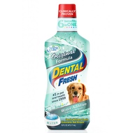 Synergy Labs Dental Fresh 503ml