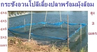 กระชังอวนโปลีเลี้ยงปลาสำเร็จรูปมีมุ้งล้อมกันอาหารออกพร้อมใช้งาน4mx4mx2m/4mx5mx2m/4mx6mx2m/5mx5mx2m