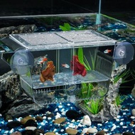水族箱魚類繁殖盒，亞克力孵化箱附吸盤隔離盒，魚缸飼養繁殖盒隔板，水族箱觀賞魚孵化懸浮盒