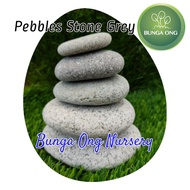 Batu Hiasan  Kelabu / Pebble Stone Grey