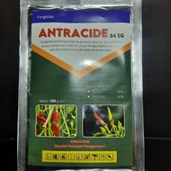 Antracide 84 Sg Fungisida Detacide Antraknosa Patek 100 Gram Terlaris