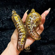 泰國聖物文化 蜈蚣護身牌 Centipede Takap Thailand Amulet
