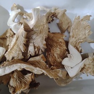 OYSTER DRIED MUSHROOM, JAMUR TIRAM KERING