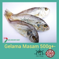 7DAYS: Ikan Gelama Masam/ Gelama Jeruk | Gelama Masam | Ikan Masin Gelama | Gelama Masin 500g | Gela