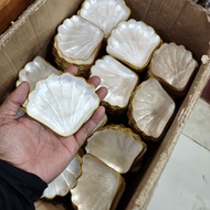 Mini shell plate white small white shell plate