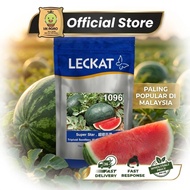 LECKAT 1096 (Super Star) Tembikai Merah Tanpa Biji SEEDS 100g F1 HYBRID Red SEEDLESS WATERMELON Seed