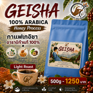 Specialty Geisha Coffee – Honey Process | Light Roast กาแฟดอยผาหม่น อาราบิก้า 100% สายพันธุ์เดี่ยว G