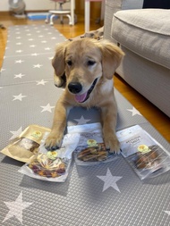 #迪邦#Dfang - #防水#防滑#保護軟墊 ( #寵物地墊 )