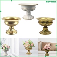[Hevalxa] Flower Pot, Delicate Planter, Flower Holder, Plant Container, Flower Pot, Decorative Vase for Wedding, Dried Flowers, Decorative