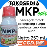 MKP CAIR + BORON 250 ml pupuk buah mkp pembesar umbi dan buah