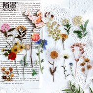 PET TIME sticker set to decorate diary album