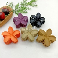 Salon Clip 6cm Cambodia DOFF