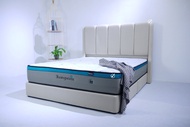 MX864 Queen/King Bed Set / Set Katil Putih