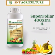 Kanker Durian SNT Super Foliar Phosphorus Acid 400Xtra 超级叶面肥 1L Phytophthora dan Buah Hitam