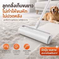 Dust Roller Hair Cat Width 24cm/19cm Handle 124 Cm Adjustable Length Available